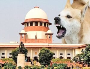 खतरनाक और रेबीज संक्रमित कुत्तों को दिया जा सकता है मौत का इंजेक्शन