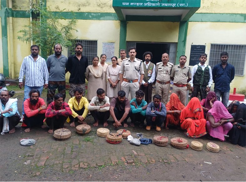 सांप सपेरो से मुक्त कराये 8 सर्प …..5 फुट के कोबरा सहित सभी के दांत टूटे और मुंह सिले